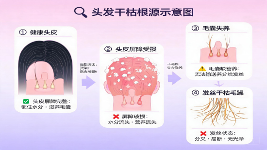 秋天头发干枯分叉根源其实在头皮